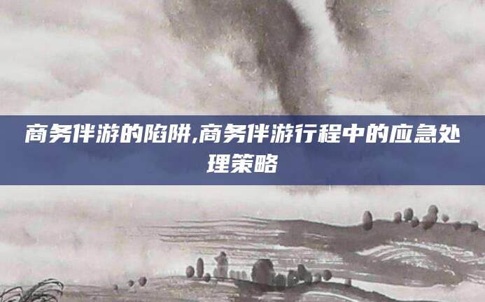 宜城商务伴游的陷阱,商务伴游行程中的应急处理策略